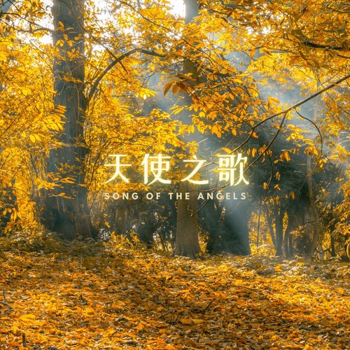 梦幻摇篮曲 (床边音乐盒) cover art