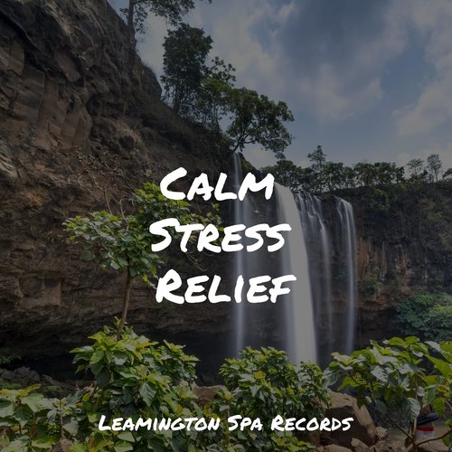 Calm Stress Relief