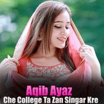 Che College Ta Zan Singar Kre