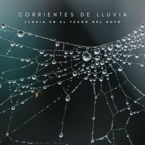Ruido De Lluvia cover art