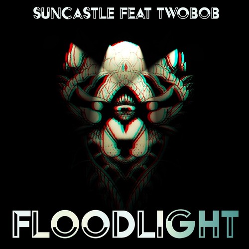 Floodlight (feat. Twobob)
