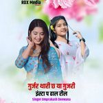 Gurjar Thari Ch Ya Gujari Insta P Dhal Reel