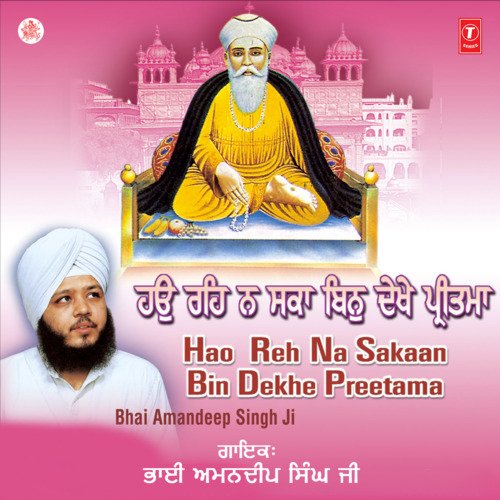 Hao Reh Na Sakaan Bin Dekhe Preetama Vol-35