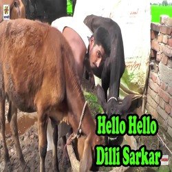 Hello Hello Dilli Sarkar-JTIORBFTdnE