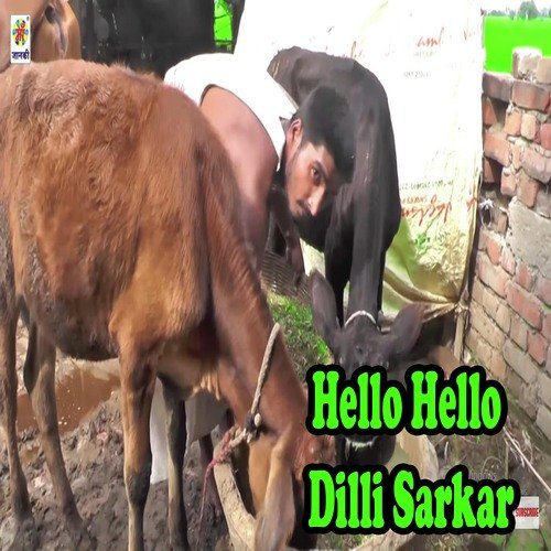 Hello Hello Dilli Sarkar