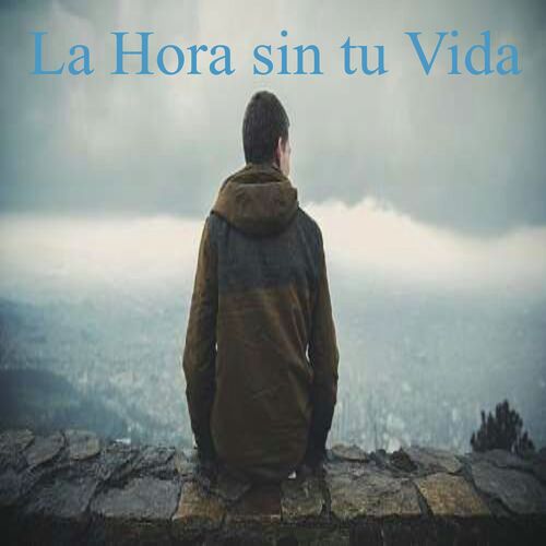 Las Hora sin tu Vida_poster_image