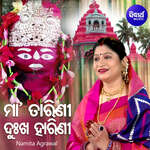 Maa Tarini Dukha Harini