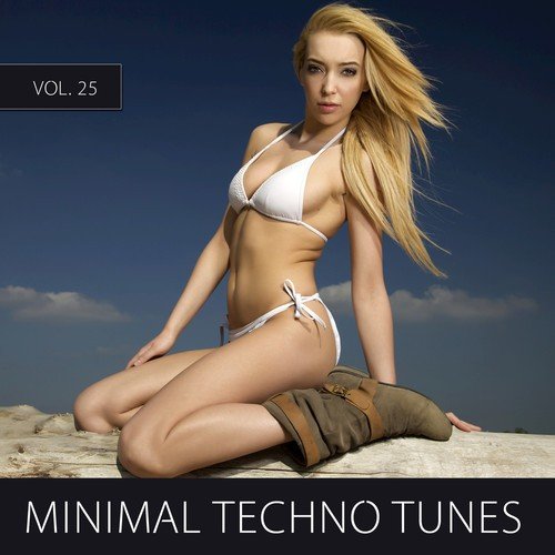 Minimal Techno Tunes, Vol. 25