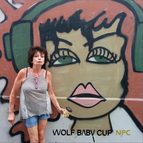 NPC cover art