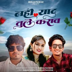 Nahi Yaad Tule Karav