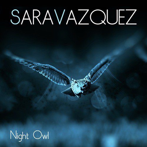 Night Owl_poster_image