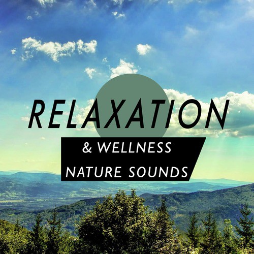 Relaxation & Wellness: Nature Sounds