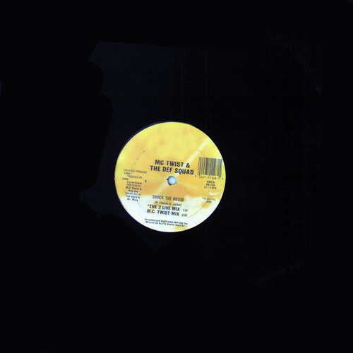 Shock The House (The 2 Live Crew Mix) cover art