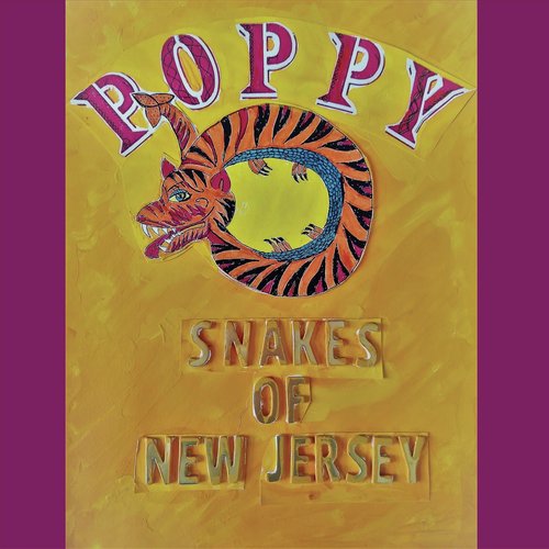 Snakes of New Jersey