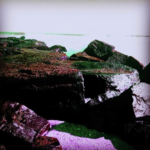 Whale Skin cover art