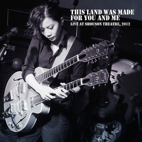 This Land Was Made For You And Me Live 2012_poster_image