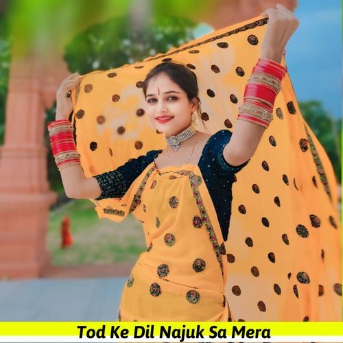 Tod Ke Dil Najuk Sa Mera
