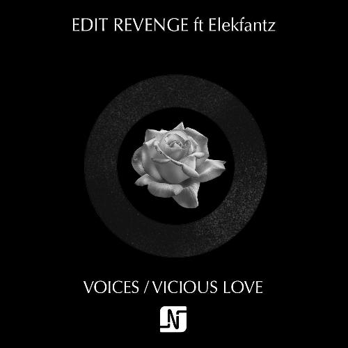 Voices / Vicious Love