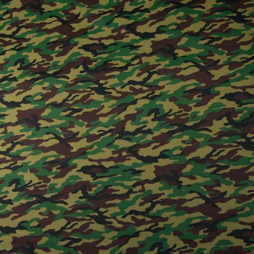 camouflage_poster_image