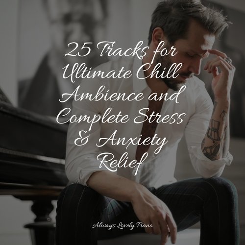 25 Tracks for Ultimate Chill Ambience and Complete Stress & Anxiety Relief