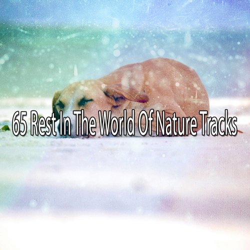 65 Rest In The World Of Nature Tracks
