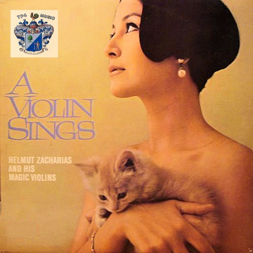 A Violin Sings