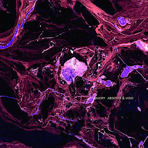 Void cover art