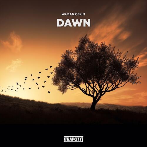 Dawn