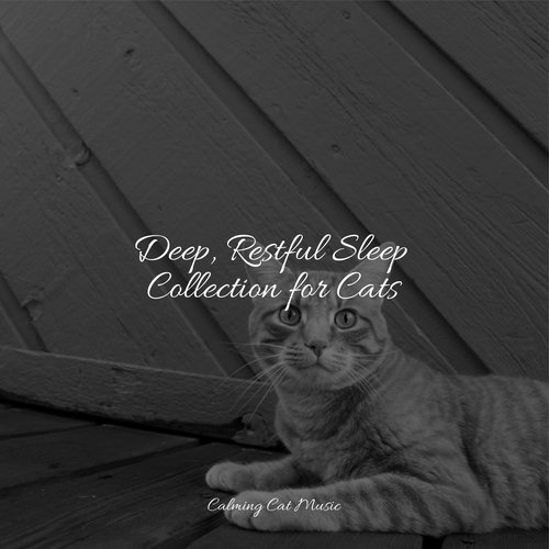 Lazy Morning cover art