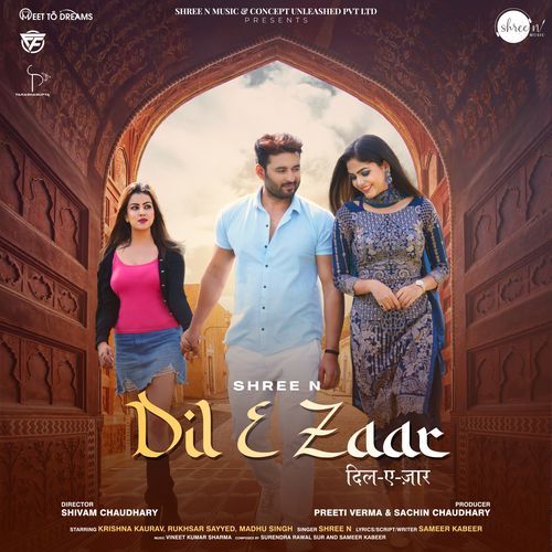 Dil E Zaar (Studio)