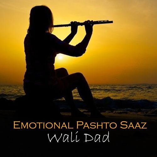 Emotional Pashto Saaz