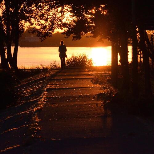 Evening Walk cover art