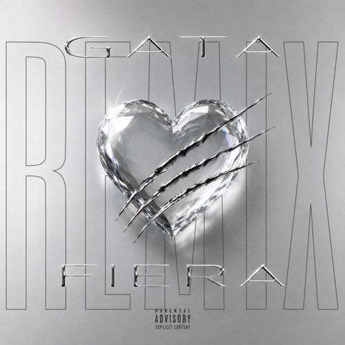 Gata Fiera (Remix)