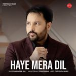Haye Mera Dil (Remix)