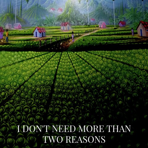 I Don't Need More Than Two Reasons