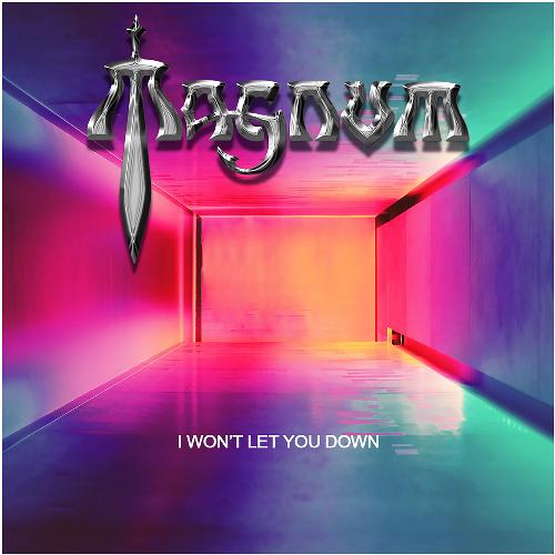 I Won't Let You Down