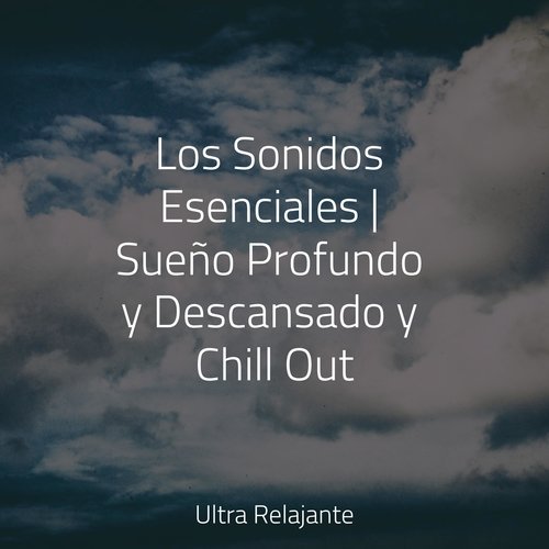 Los Sonidos Esenciales | Sueño Profundo y Descansado y Chill Out