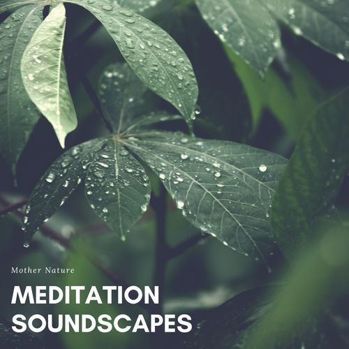 Meditation Soundscapes