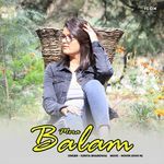 Chamba Aar Ki Nadiya Paar