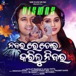 Naja Ra Re Tora Karilu Nijara