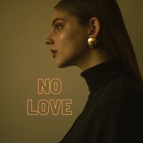 No Love_poster_image