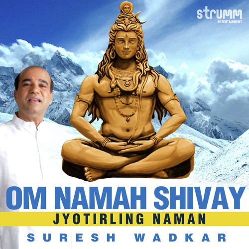 Om Namah Shivay - Jyotirling Naman