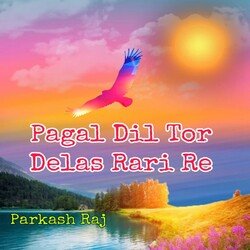 Pagal Dil Tor Delas Rari Re-Ijo-eh1vdlY