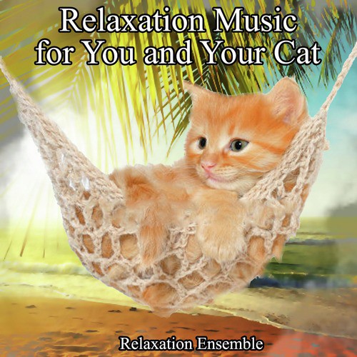 Relaxation Music for You and Your Cat_poster_image