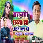 Sajanwa Gharwa Na Aiba Ka Ho