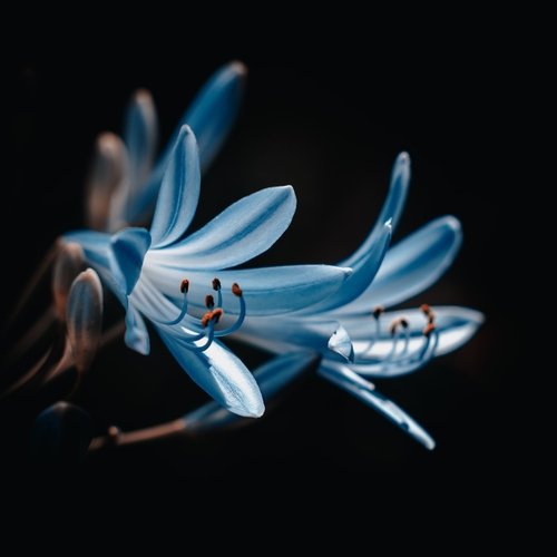 Sleep Music cover art