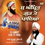 So Amrit Gur Te Paya