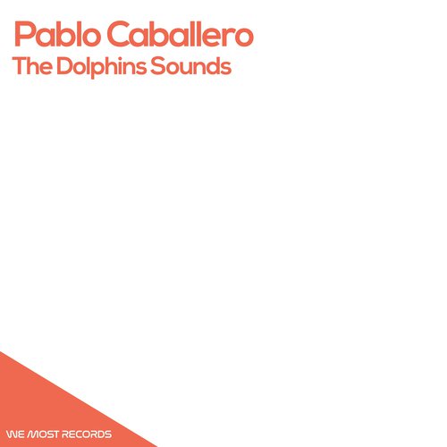 The Dolphins Sounds (BBM II Remix) cover art
