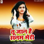 Tu Jaan Hai Sanam Meri