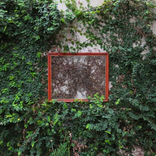 Mucha Gente Jueza cover art